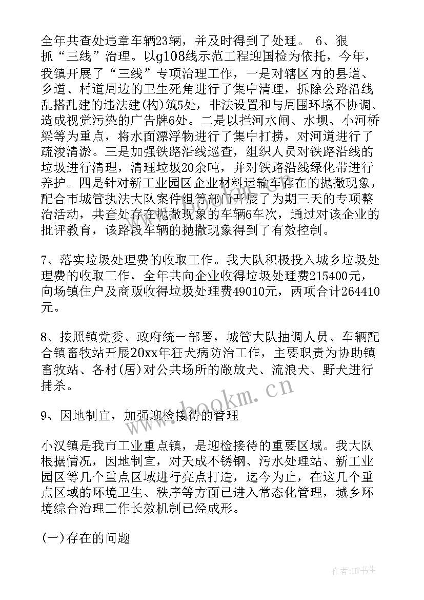 2023年民生保障工作总结 城管大队工作总结(大全5篇)