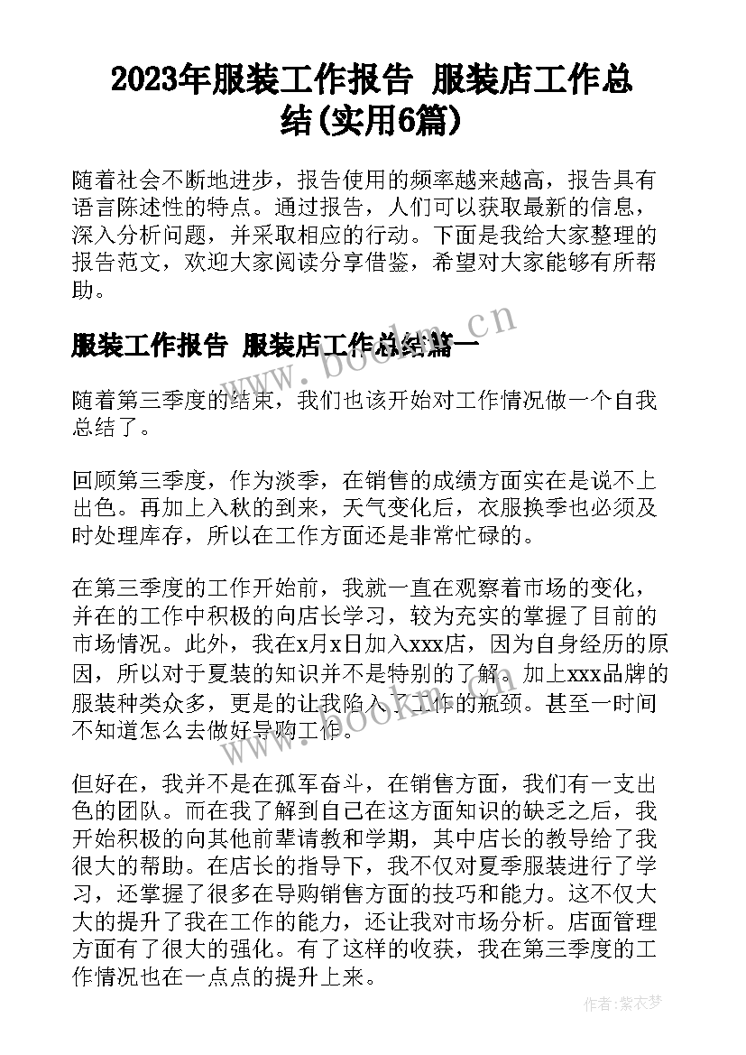 2023年服装工作报告 服装店工作总结(实用6篇)