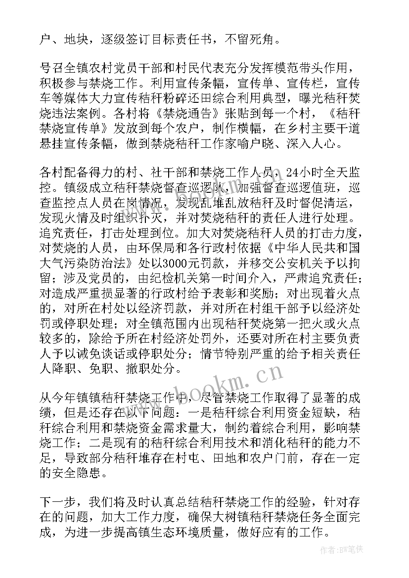 村秸秆禁烧工作总结(通用5篇)