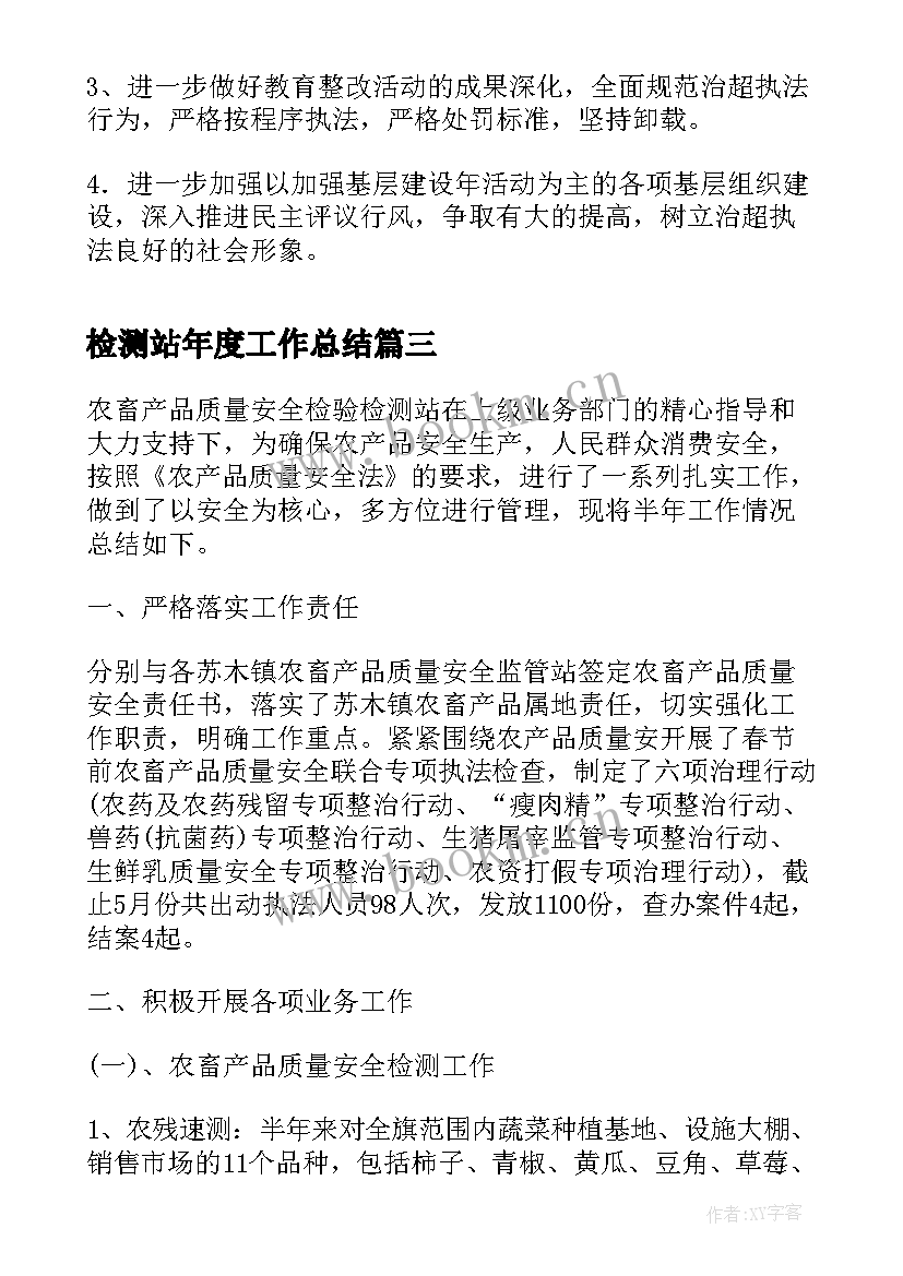 2023年检测站年度工作总结(精选5篇)