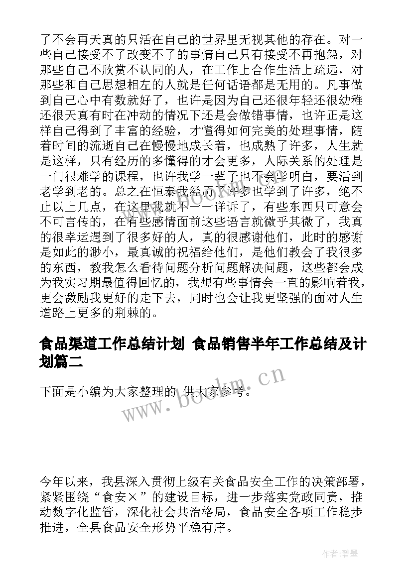 2023年食品渠道工作总结计划 食品销售半年工作总结及计划(优质5篇)