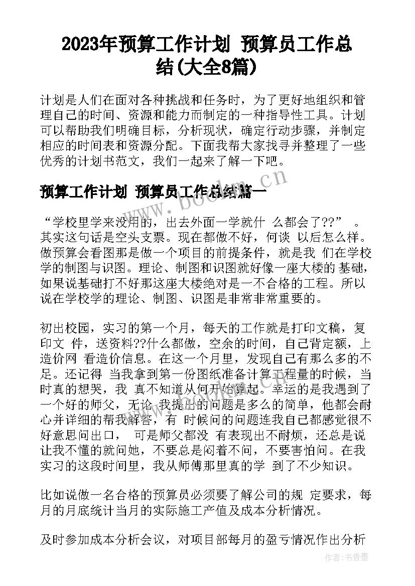 2023年预算工作计划 预算员工作总结(大全8篇)