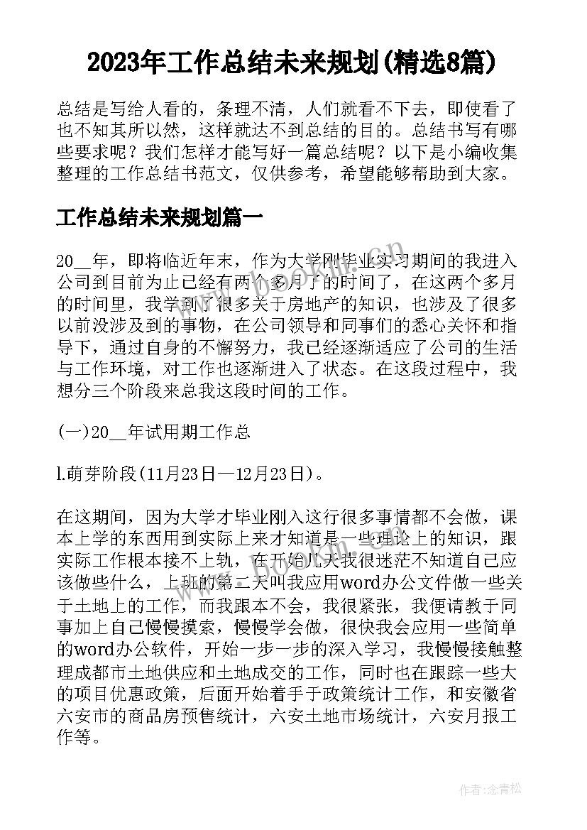 2023年工作总结未来规划(精选8篇)