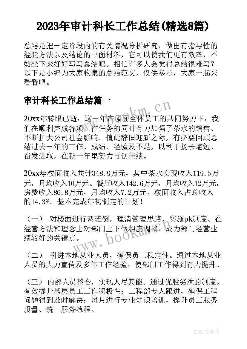 2023年审计科长工作总结(精选8篇)