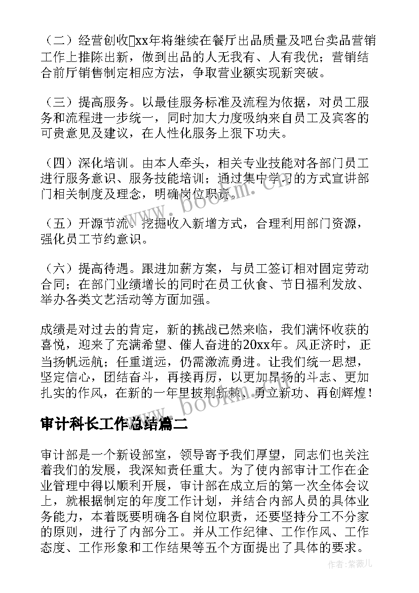 2023年审计科长工作总结(精选8篇)