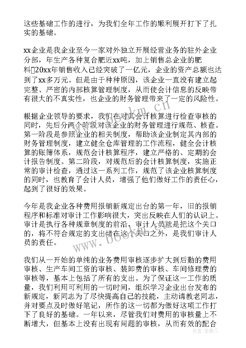 2023年审计科长工作总结(精选8篇)