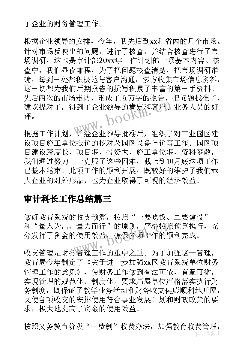 2023年审计科长工作总结(精选8篇)