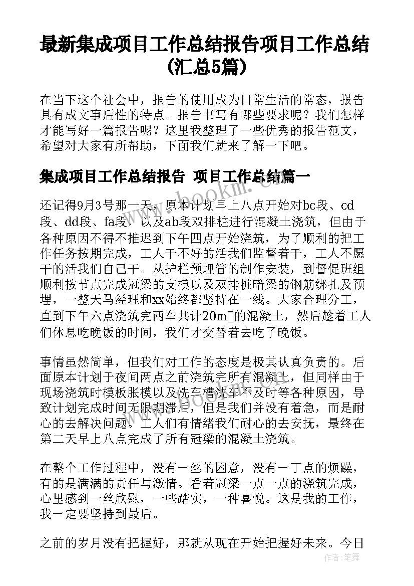 最新集成项目工作总结报告 项目工作总结(汇总5篇)