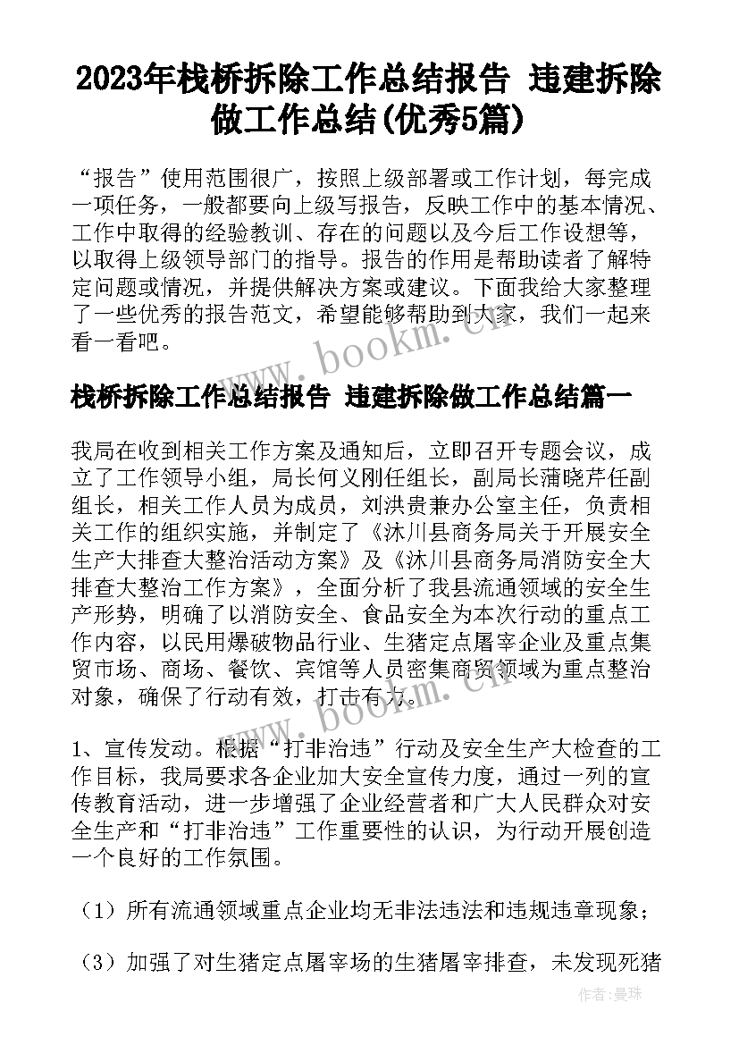 2023年栈桥拆除工作总结报告 违建拆除做工作总结(优秀5篇)