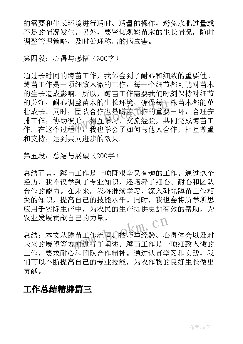 2023年工作总结精辟(实用9篇)