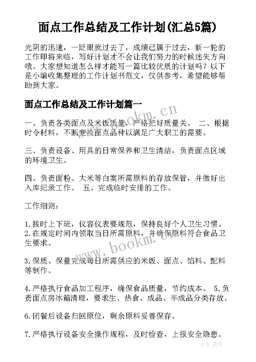 面点工作总结及工作计划(汇总5篇)