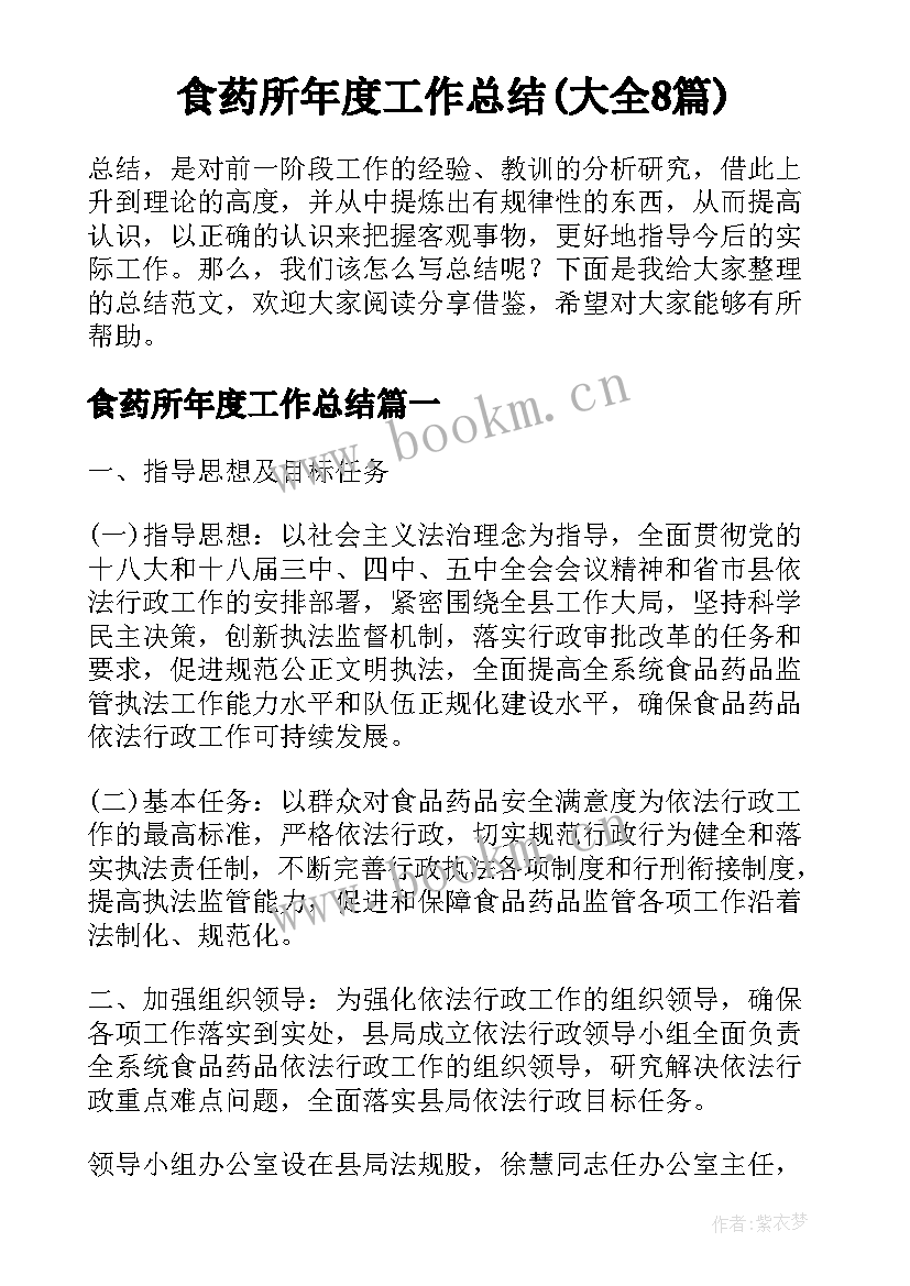 食药所年度工作总结(大全8篇)