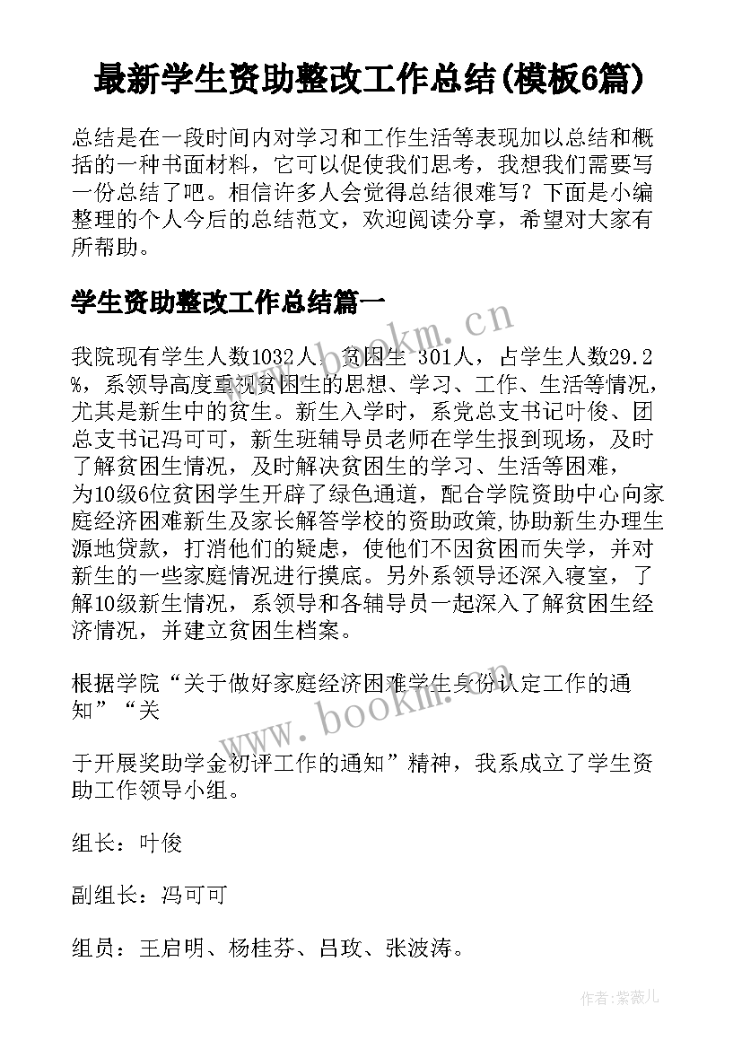 最新学生资助整改工作总结(模板6篇)