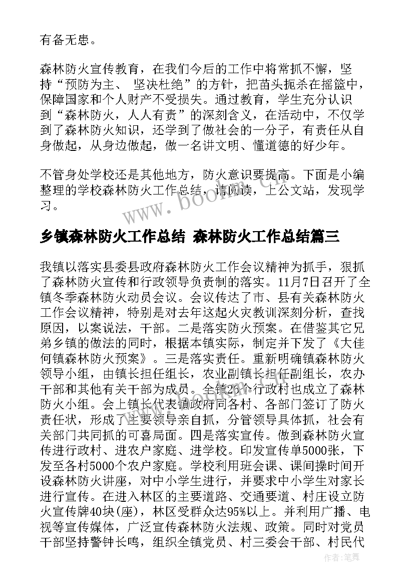 2023年乡镇森林防火工作总结 森林防火工作总结(通用9篇)