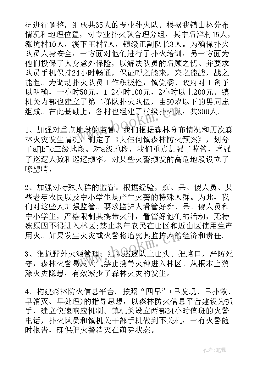 2023年乡镇森林防火工作总结 森林防火工作总结(通用9篇)