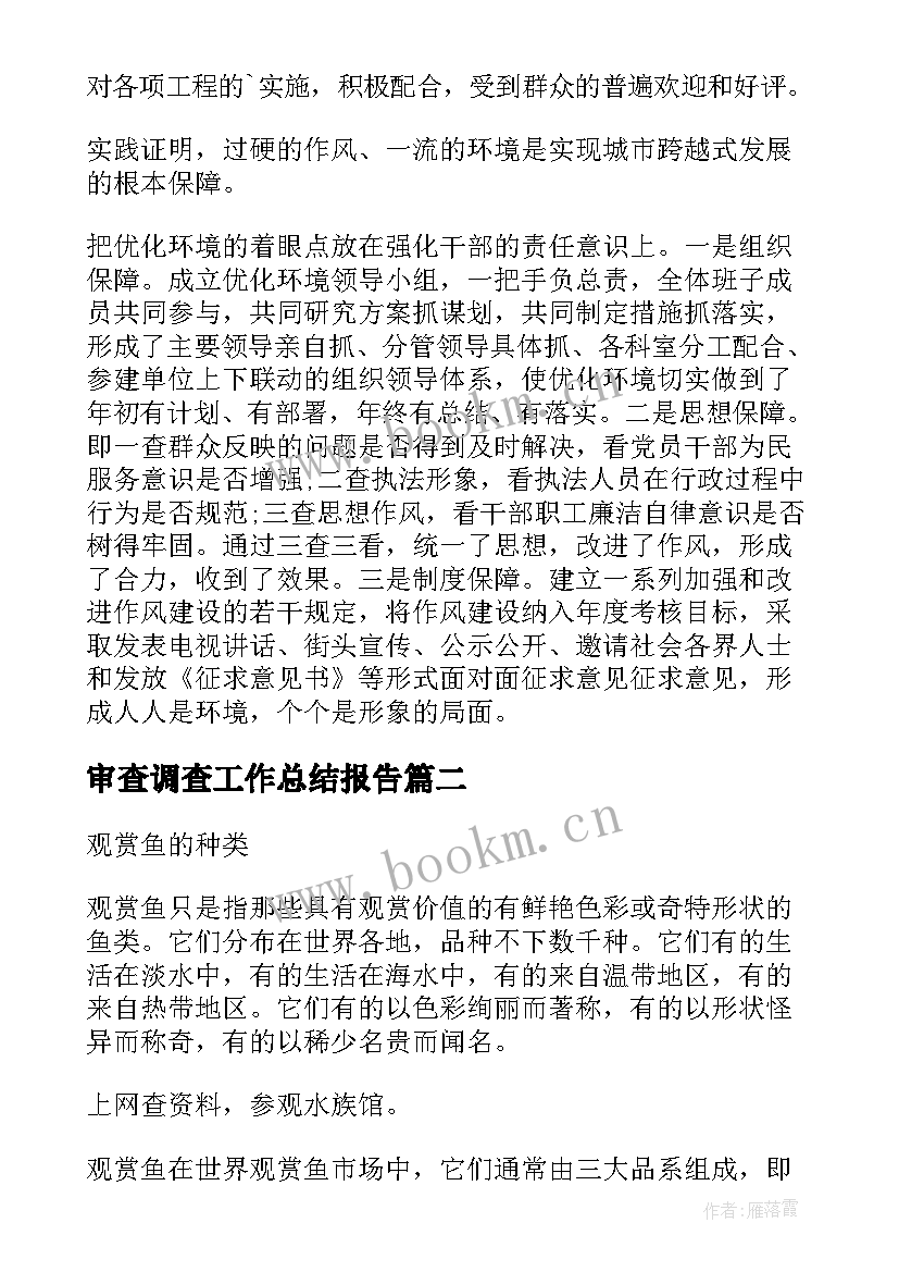 最新审查调查工作总结报告(实用10篇)