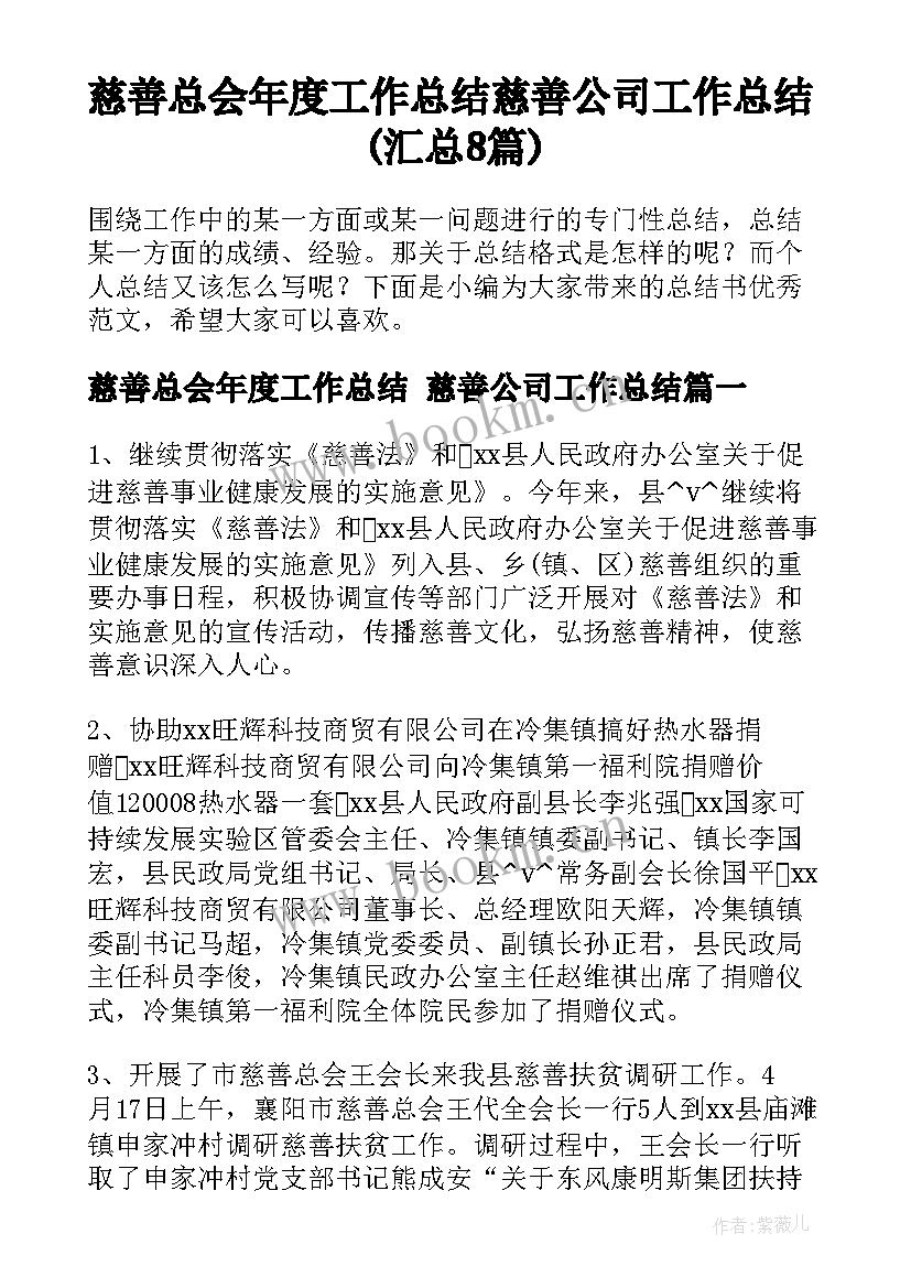 慈善总会年度工作总结 慈善公司工作总结(汇总8篇)