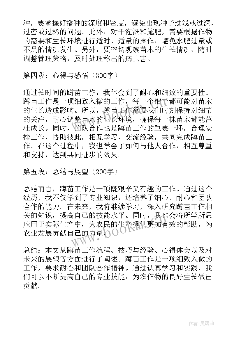 机考主要考 蹲苗工作总结及心得体会(通用7篇)