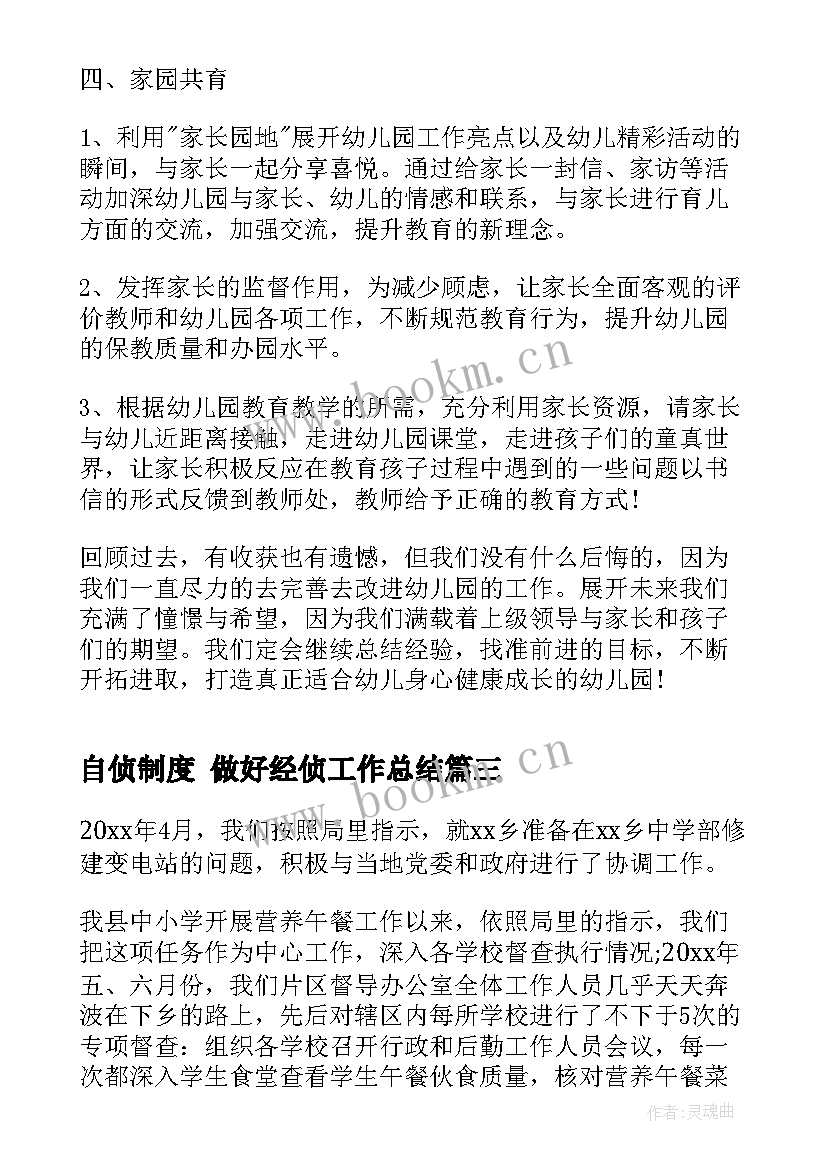 自侦制度 做好经侦工作总结(优秀7篇)