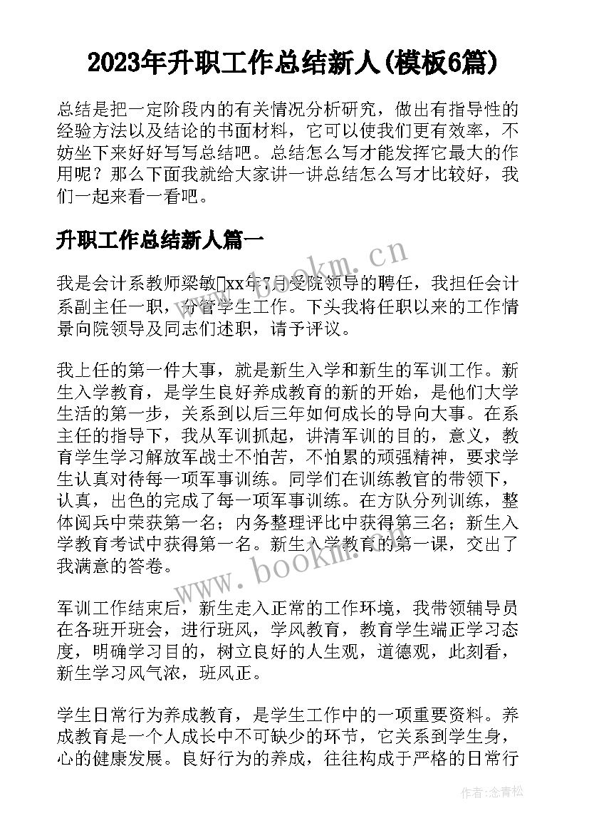 2023年升职工作总结新人(模板6篇)