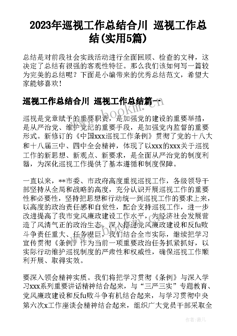 2023年巡视工作总结合川 巡视工作总结(实用5篇)