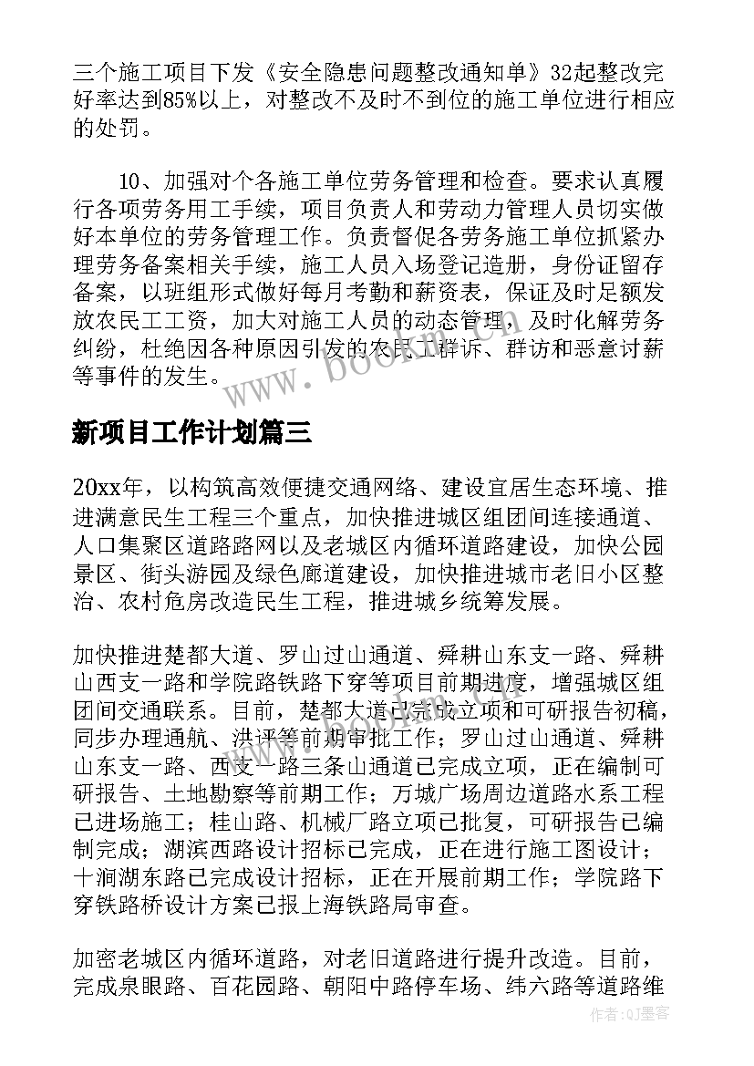 新项目工作计划(汇总6篇)