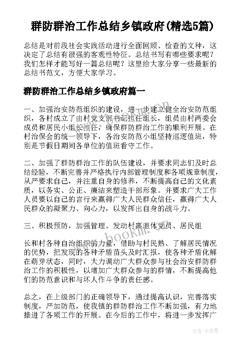 群防群治工作总结乡镇政府(精选5篇)