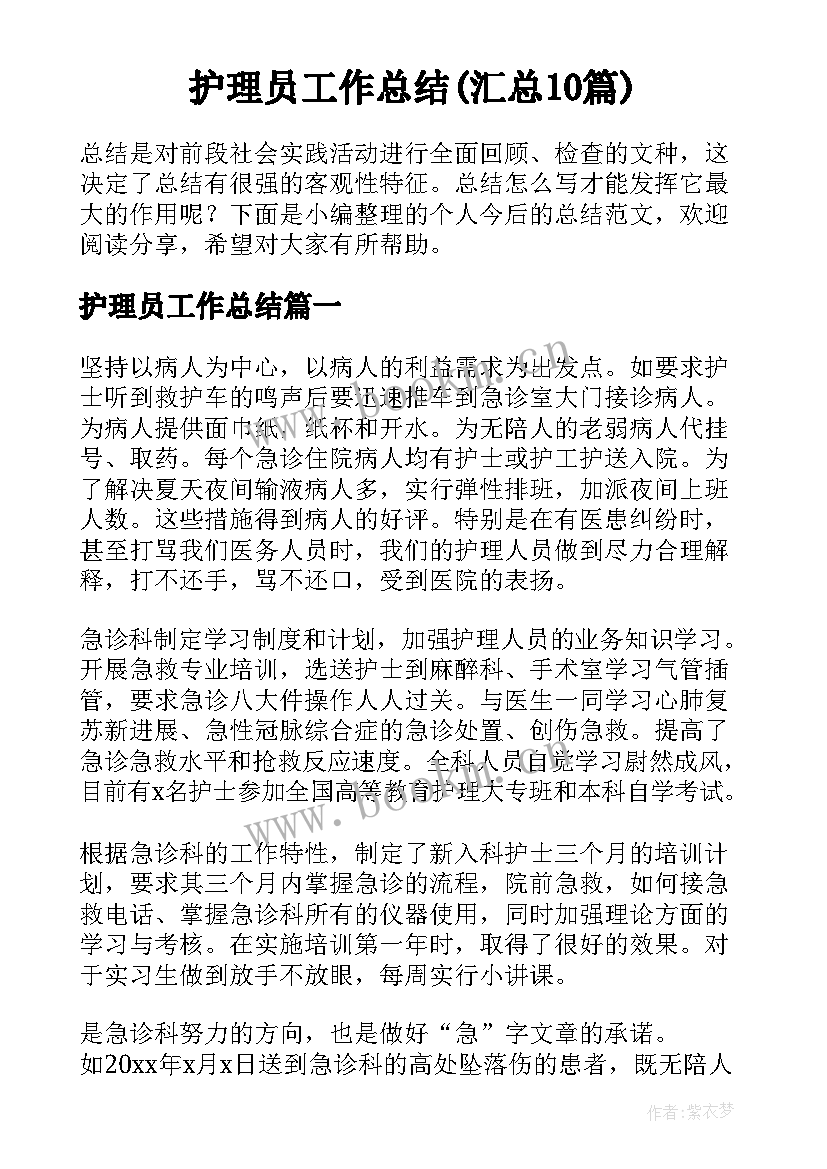 护理员工作总结(汇总10篇)