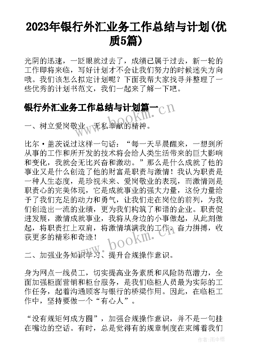 2023年银行外汇业务工作总结与计划(优质5篇)