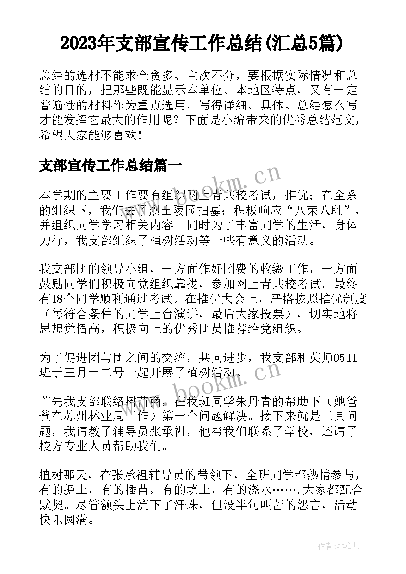 2023年支部宣传工作总结(汇总5篇)