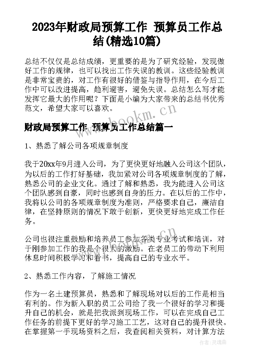 2023年财政局预算工作 预算员工作总结(精选10篇)