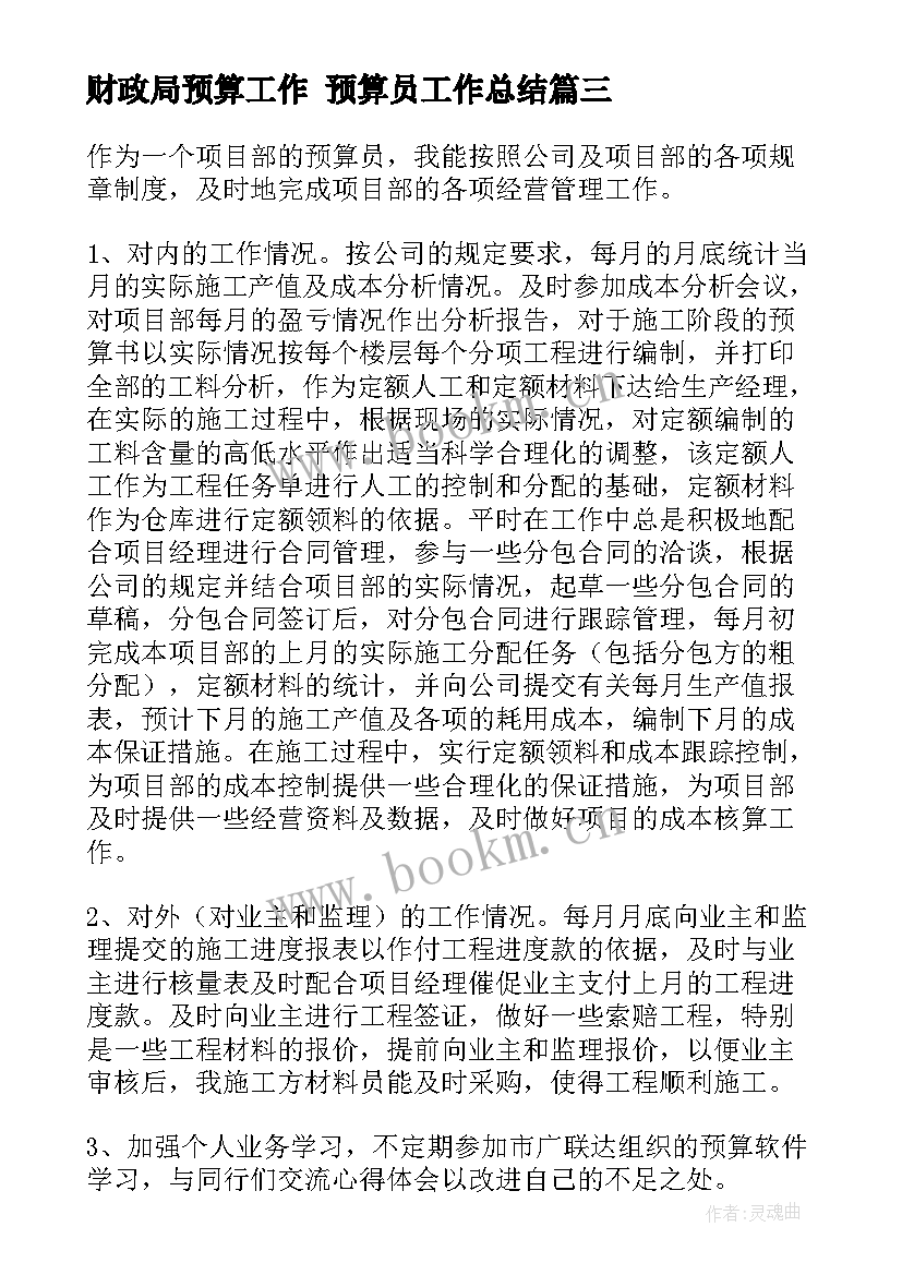 2023年财政局预算工作 预算员工作总结(精选10篇)