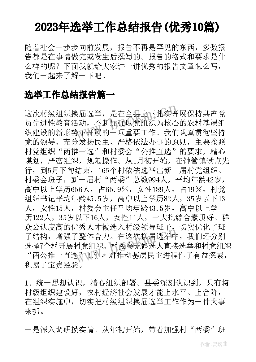 2023年选举工作总结报告(优秀10篇)