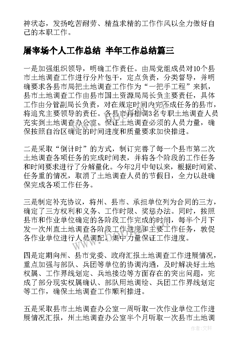 屠宰场个人工作总结 半年工作总结(实用5篇)