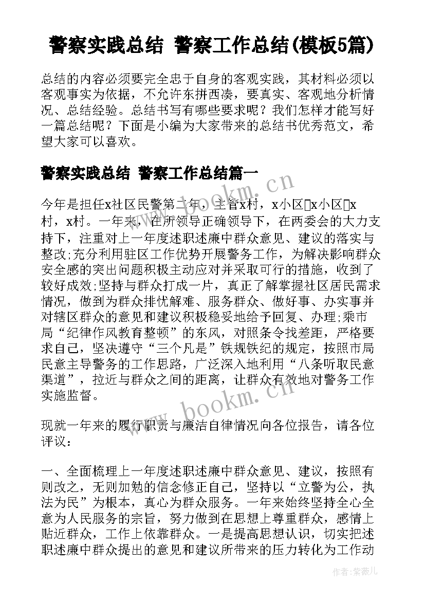 警察实践总结 警察工作总结(模板5篇)