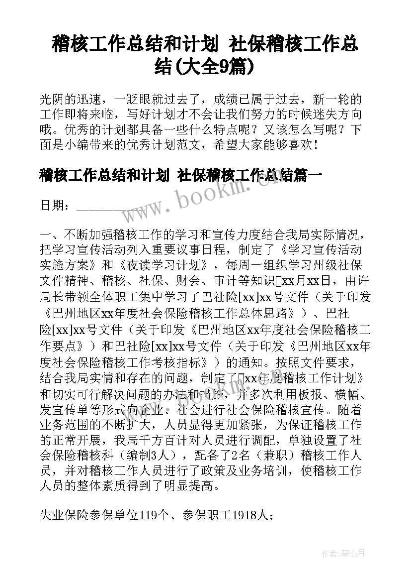 稽核工作总结和计划 社保稽核工作总结(大全9篇)