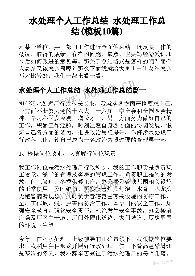 水处理个人工作总结 水处理工作总结(模板10篇)