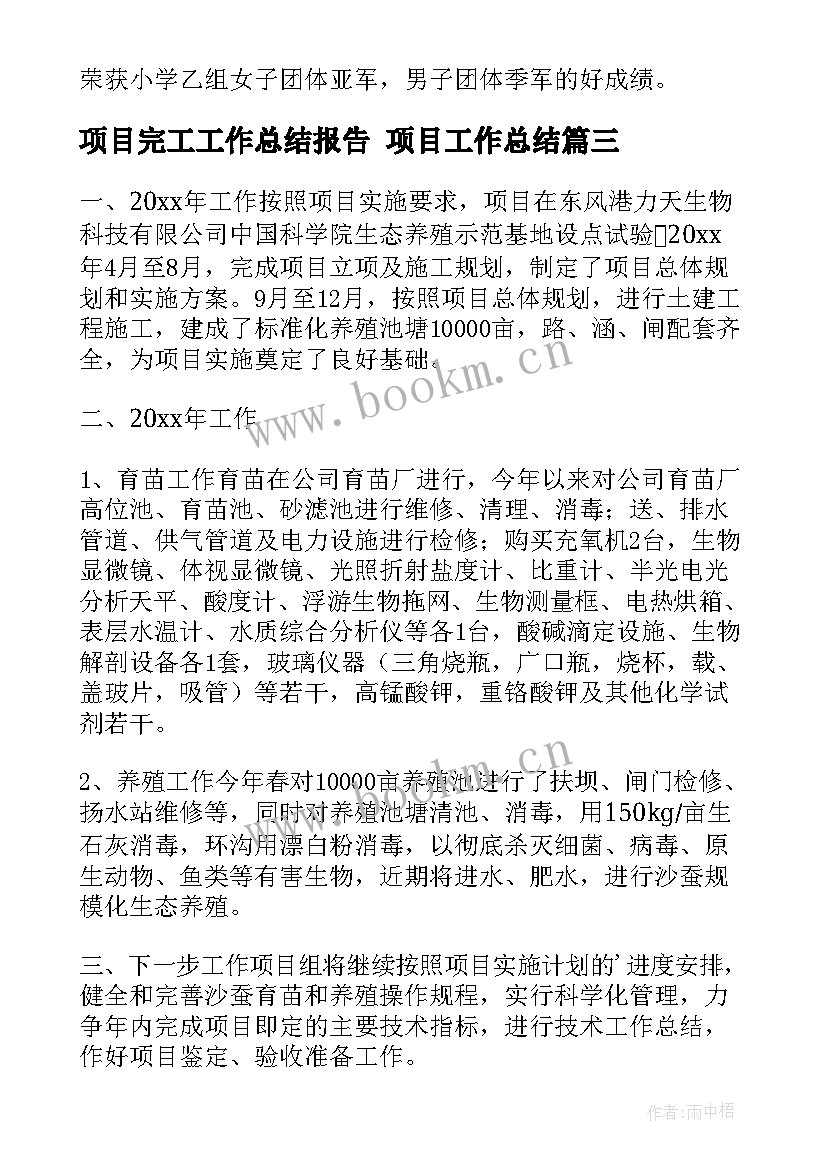 2023年项目完工工作总结报告 项目工作总结(汇总6篇)