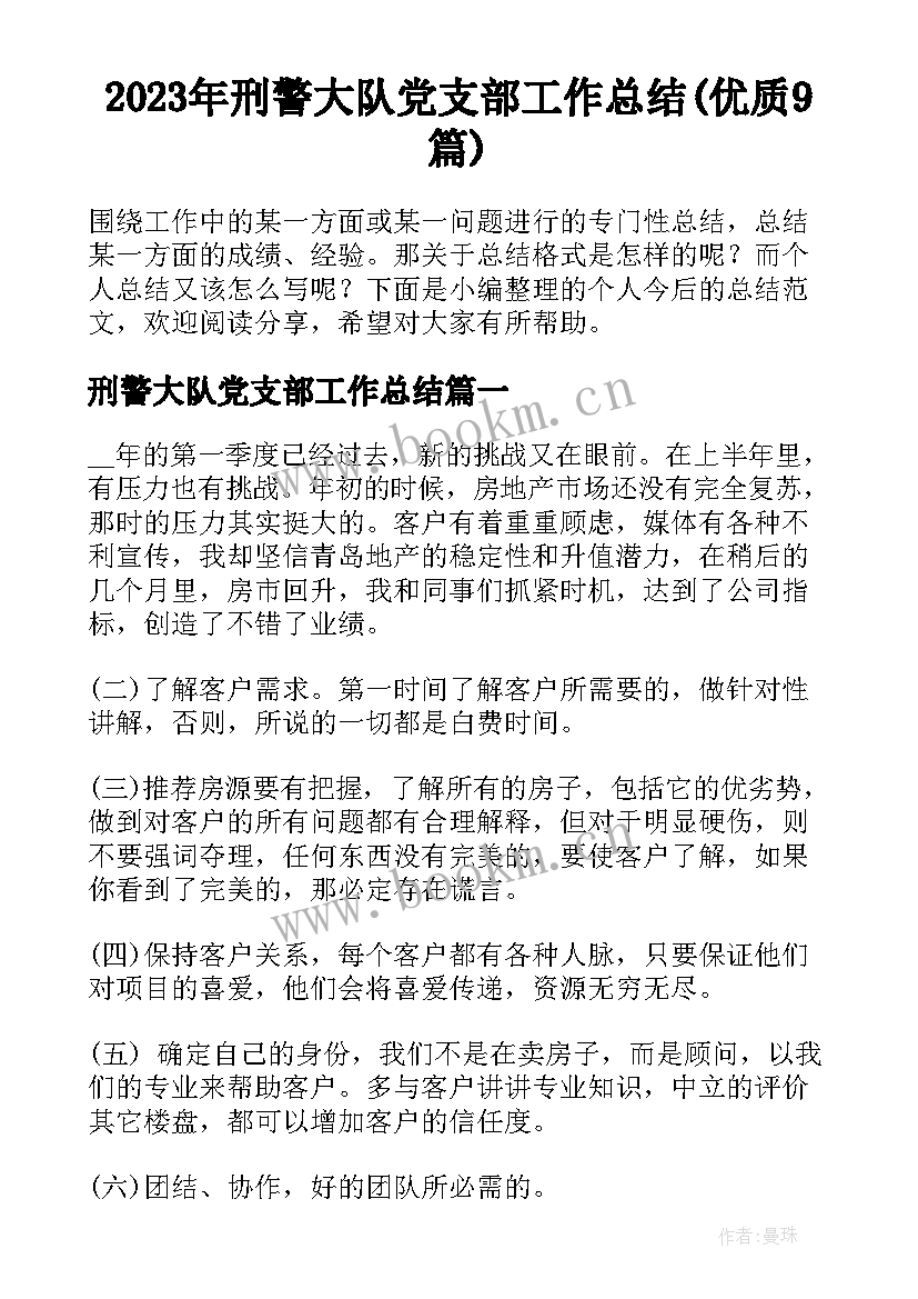 2023年刑警大队党支部工作总结(优质9篇)