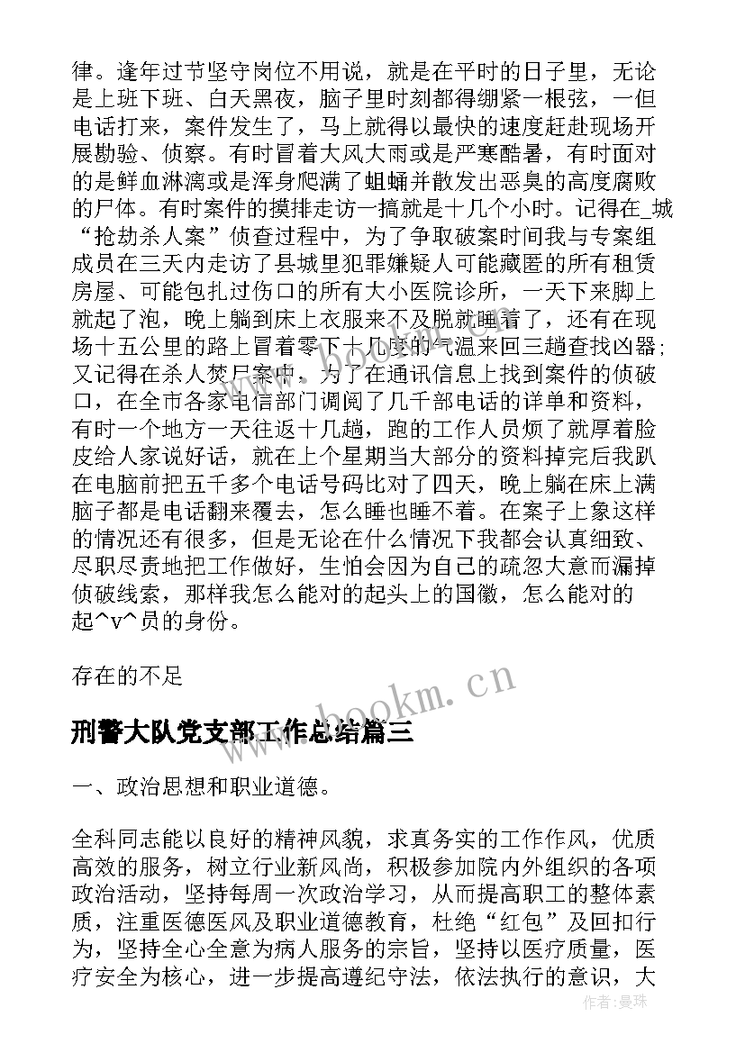 2023年刑警大队党支部工作总结(优质9篇)