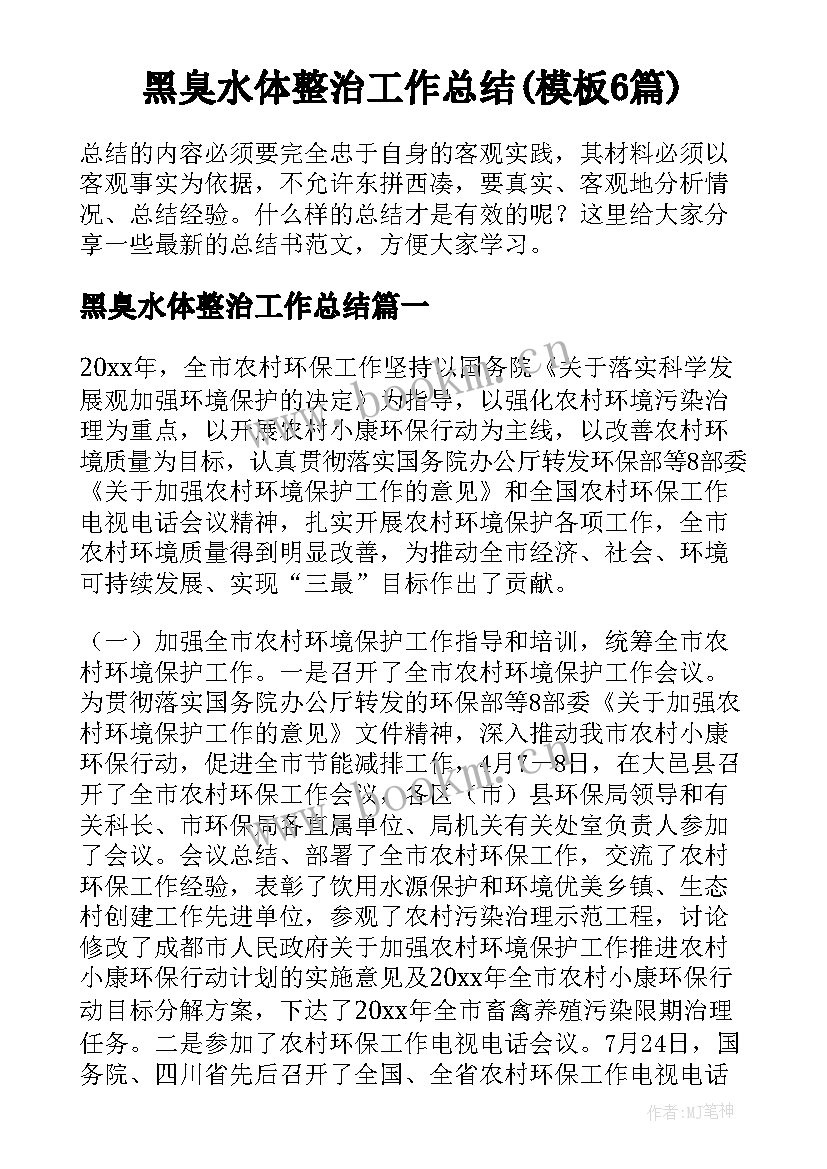 黑臭水体整治工作总结(模板6篇)