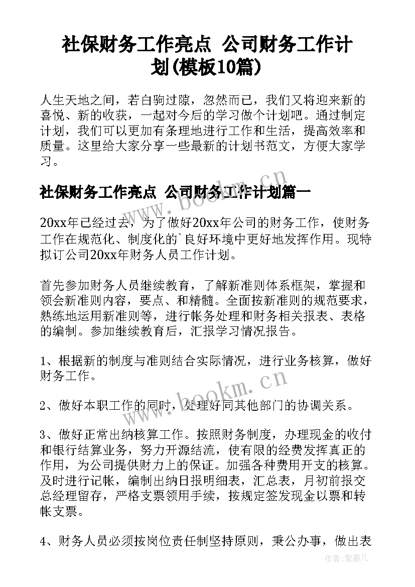 社保财务工作亮点 公司财务工作计划(模板10篇)