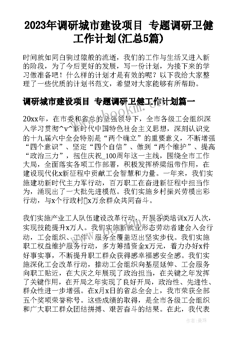 2023年调研城市建设项目 专题调研卫健工作计划(汇总5篇)