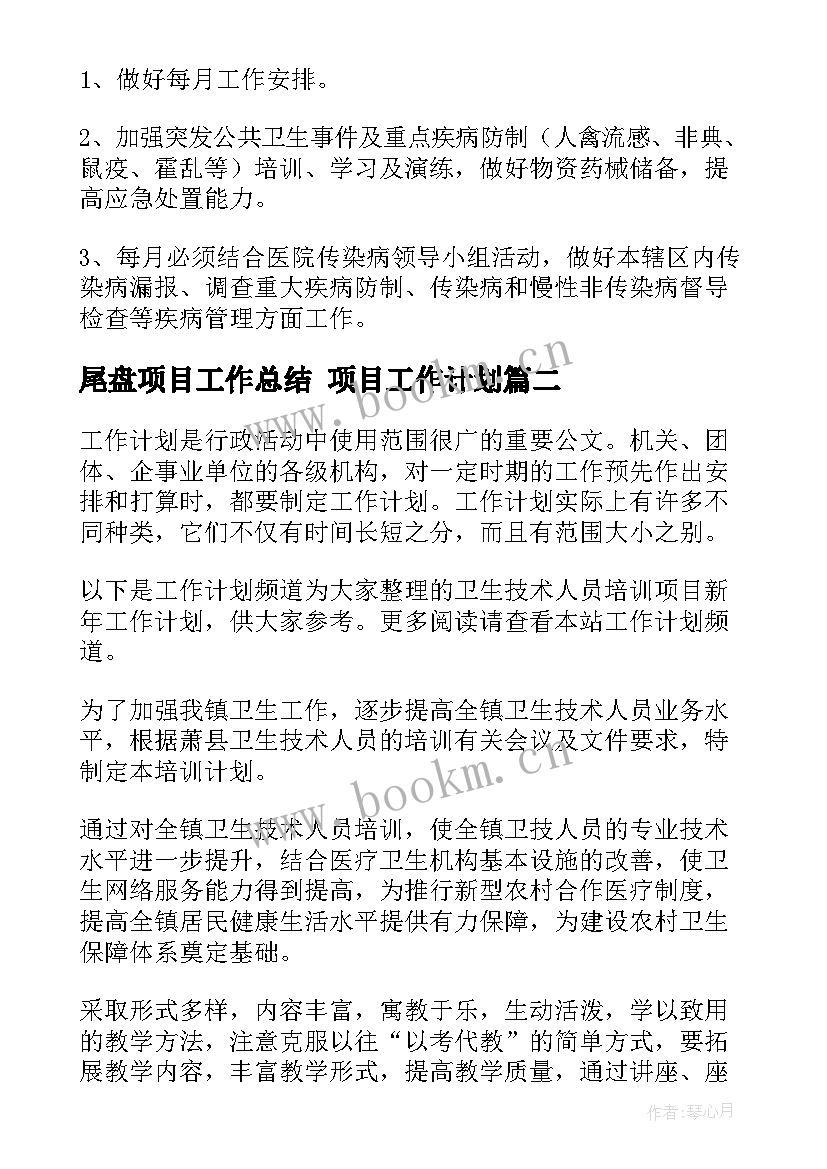 2023年尾盘项目工作总结 项目工作计划(汇总9篇)