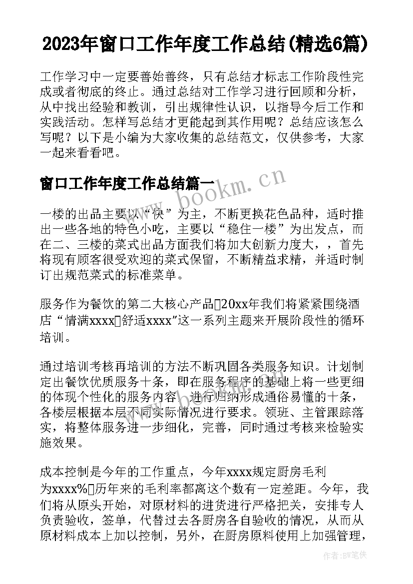 2023年窗口工作年度工作总结(精选6篇)