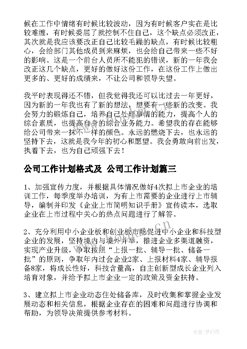 公司工作计划格式及 公司工作计划(汇总5篇)