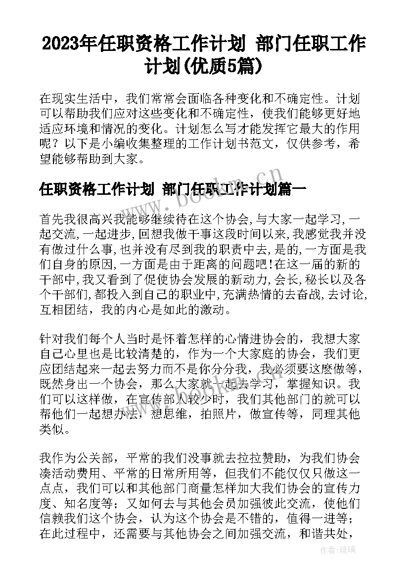 2023年任职资格工作计划 部门任职工作计划(优质5篇)