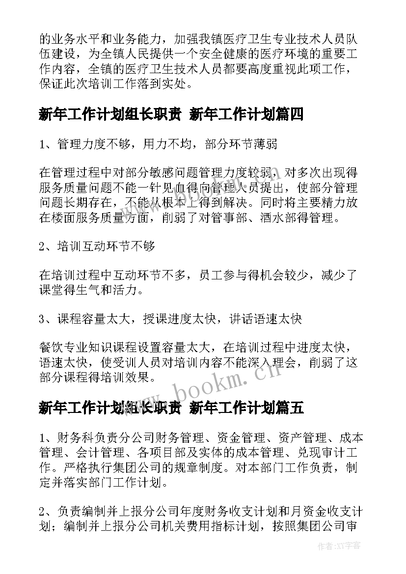 2023年新年工作计划组长职责 新年工作计划(优秀9篇)