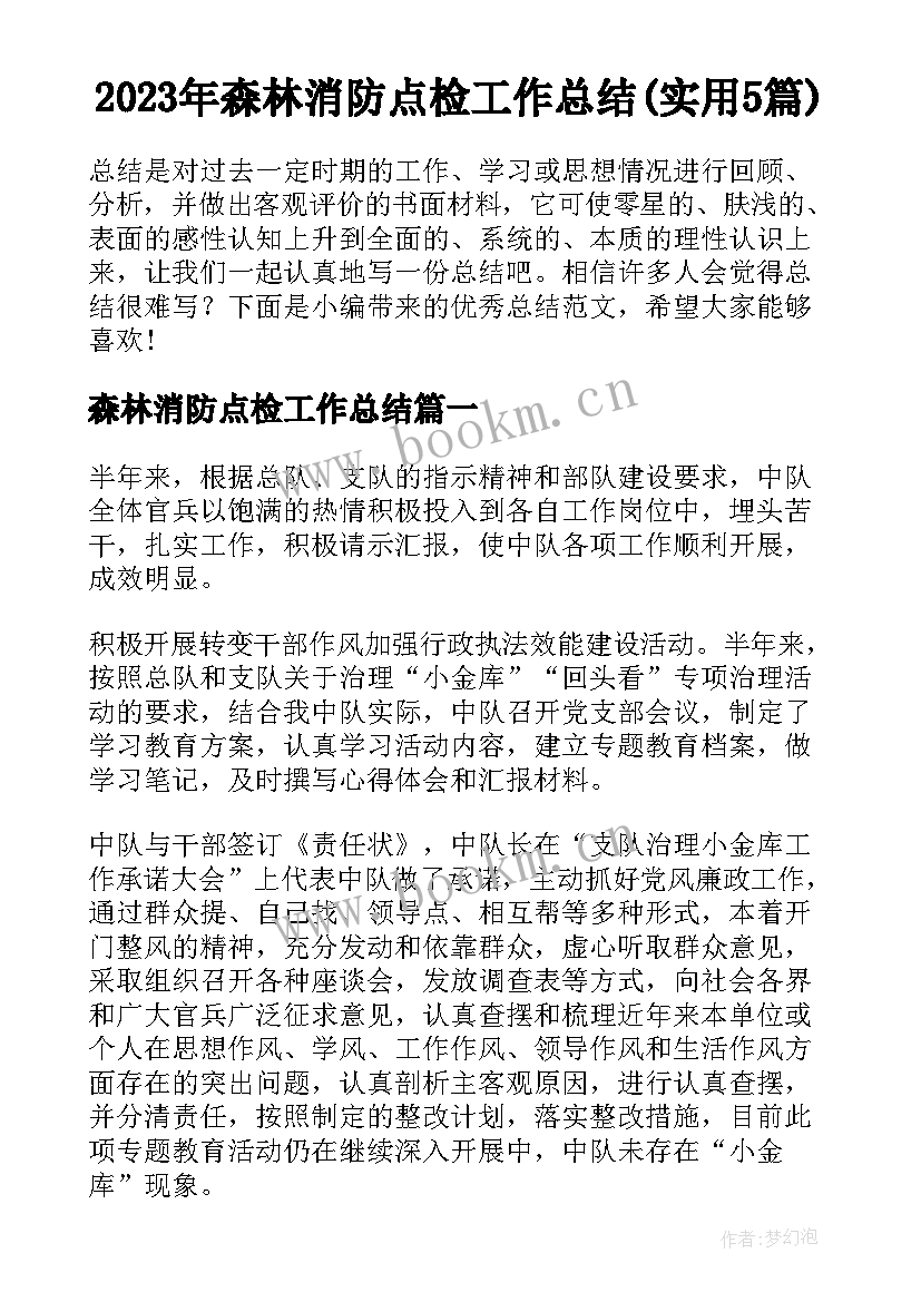 2023年森林消防点检工作总结(实用5篇)