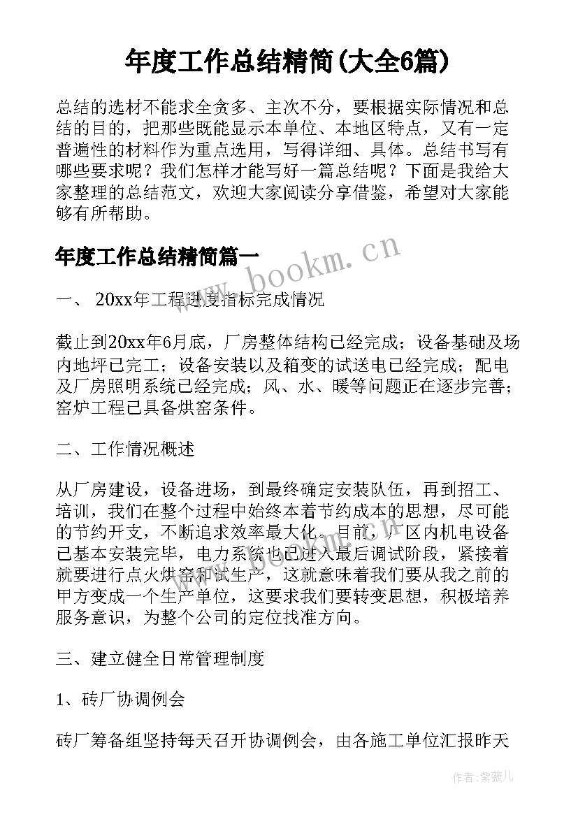 年度工作总结精简(大全6篇)